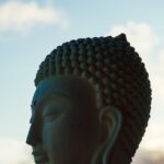 psychology studies does not apply to india